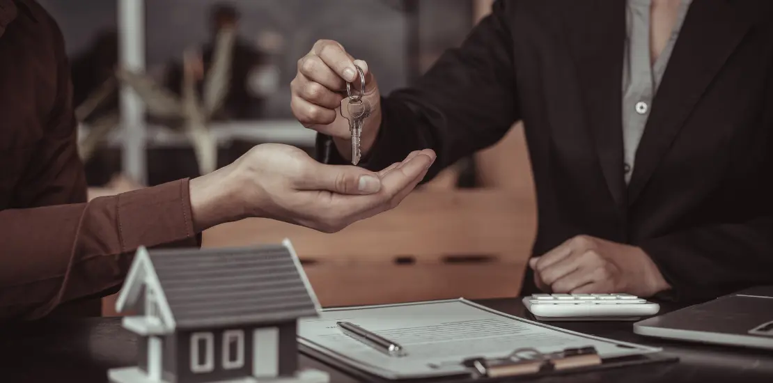 nouveautés lmnp 2025